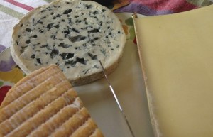 tumblr_inline_n4wb1nABKW1sxvaii